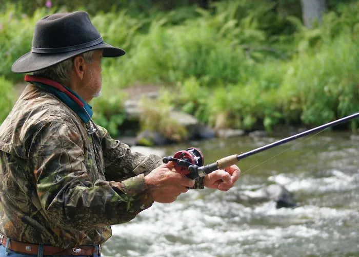 482 - * 클리프덴